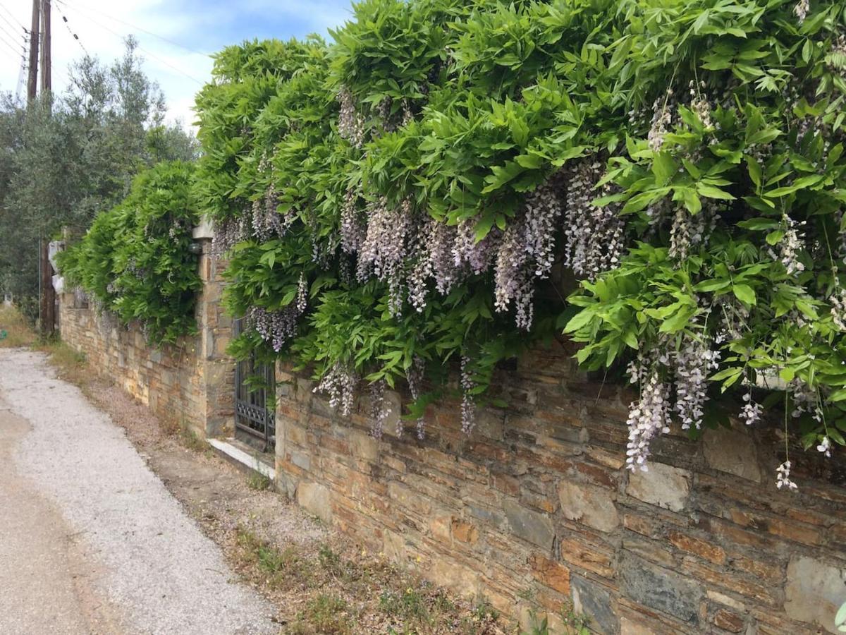 Villa Liana Σούρπη Εξωτερικό φωτογραφία